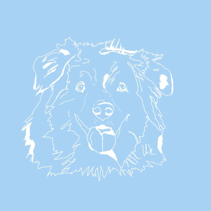 Australian Shepherd