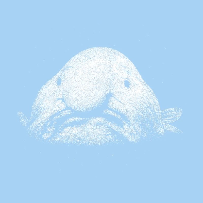 A blob fish