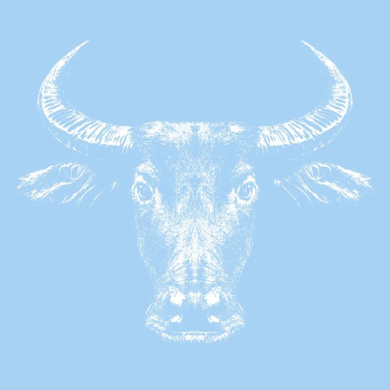 Buffle d’eau / Bubalus Arnee / Blanc