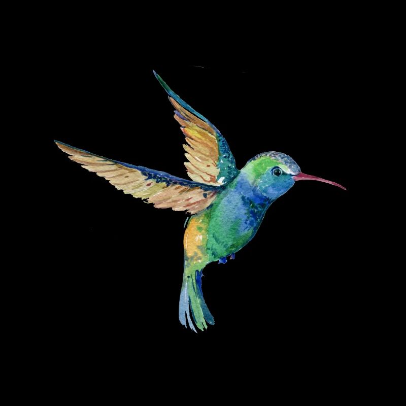 Humming Bird Lovers Bird Watcher Gift Design