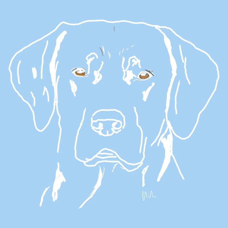 Labrador
