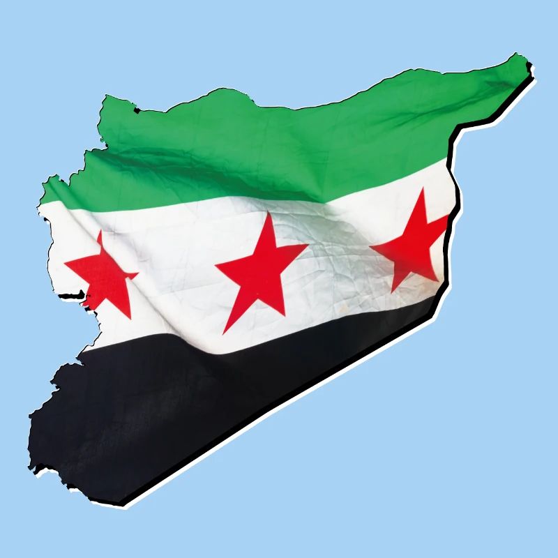 Syria Flag in Syria Map 2