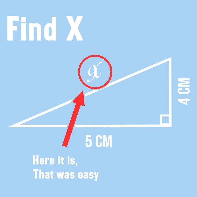 Find X Math Lover Mathematician Math Teacher