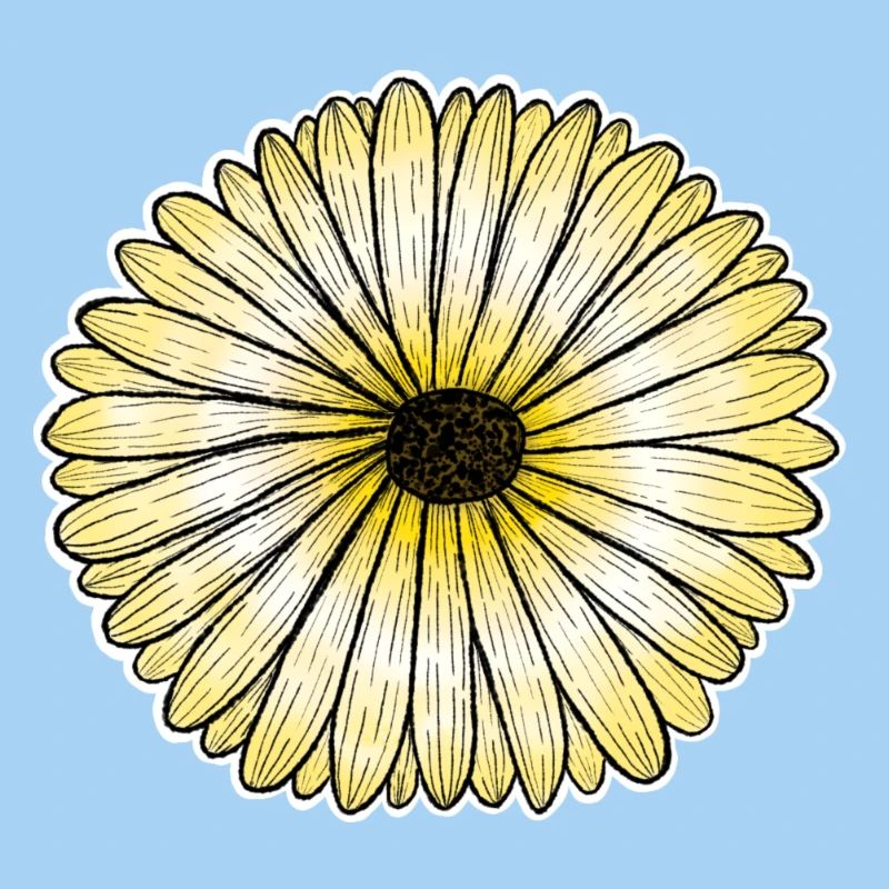 Gelbes Gänseblümchen