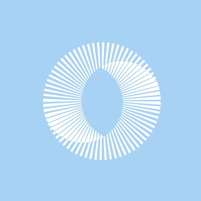 Circle illusion optic illusion paradox gift