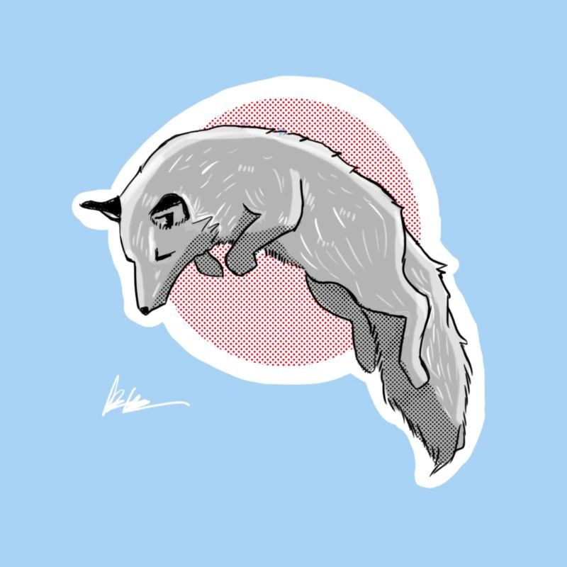 Jagd Schneefuchs