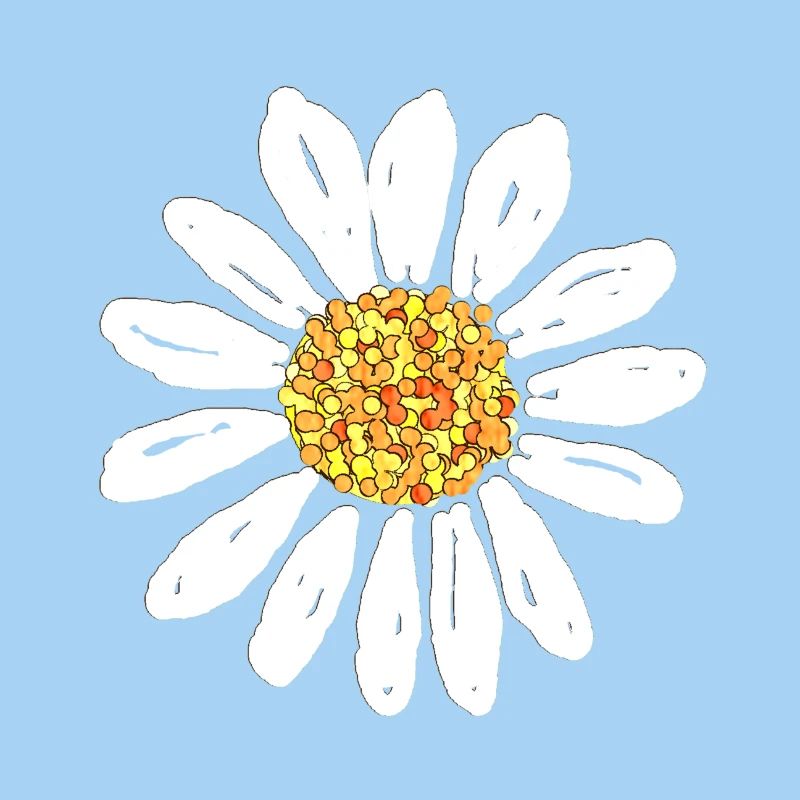 Daisy flower