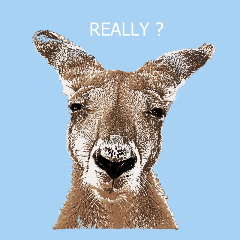 Kangaroo really?