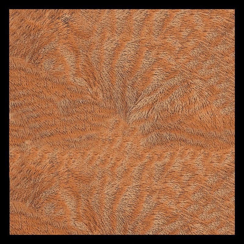 Katzen Fell gestromt, closing