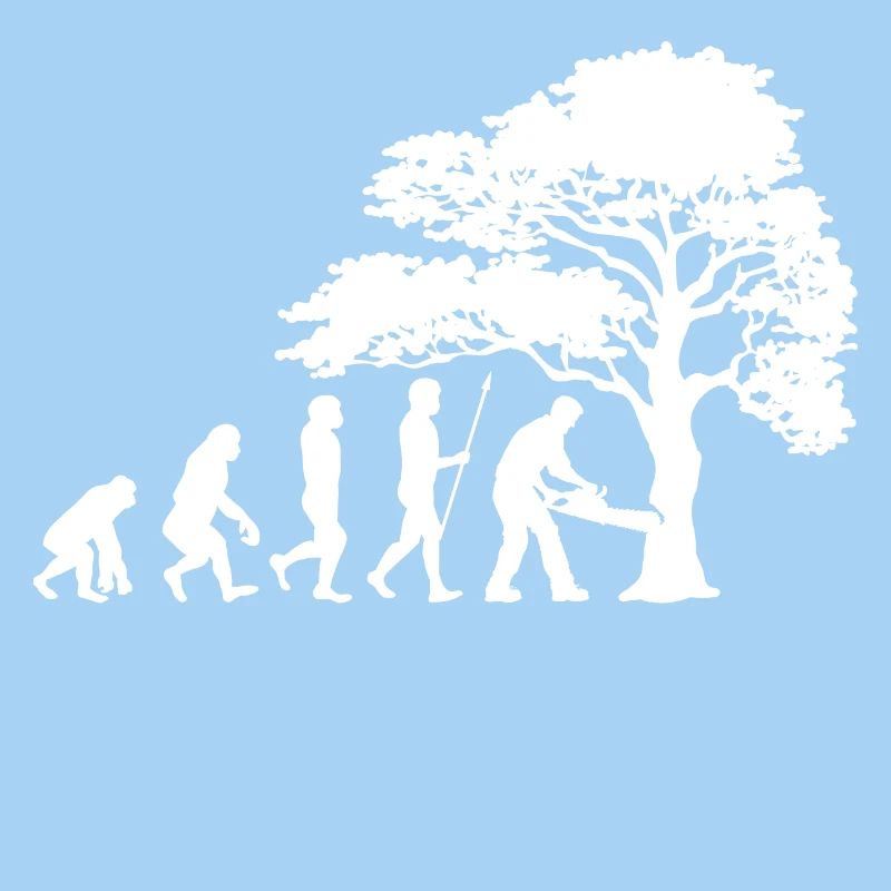 Arbre bois sciure sciure bûcheron boiseries