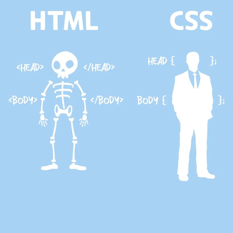 Code Css C++ Php Java Développeur Code Scripting