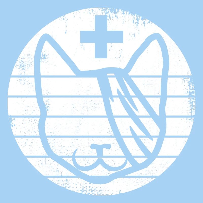 Premiers secours pour chats