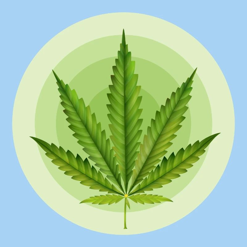 Circular Grafic Cannabis Leaf