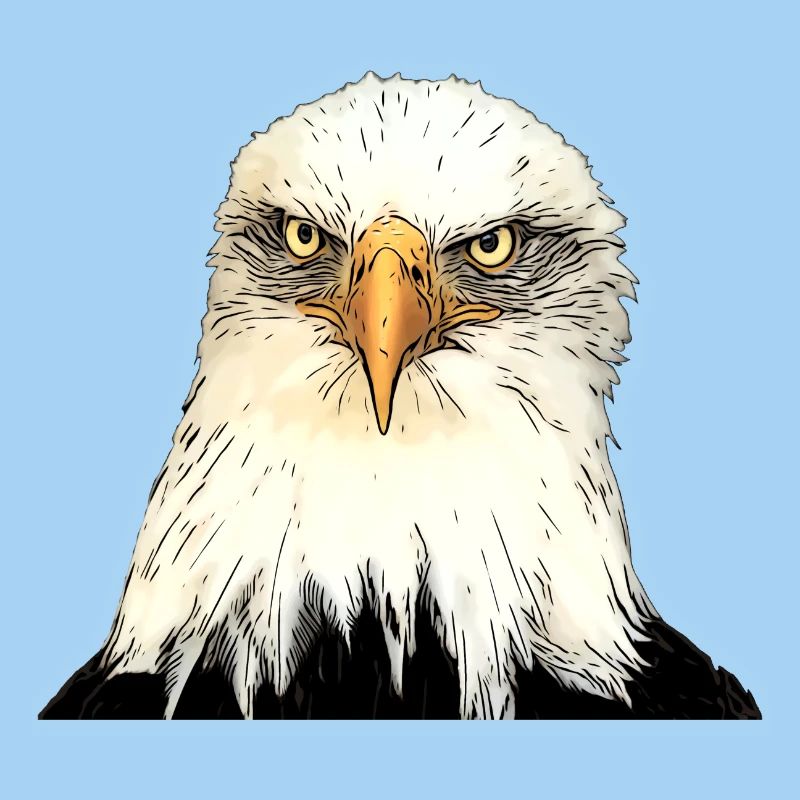 Adlerkopf Illustration mit intensivem Blick