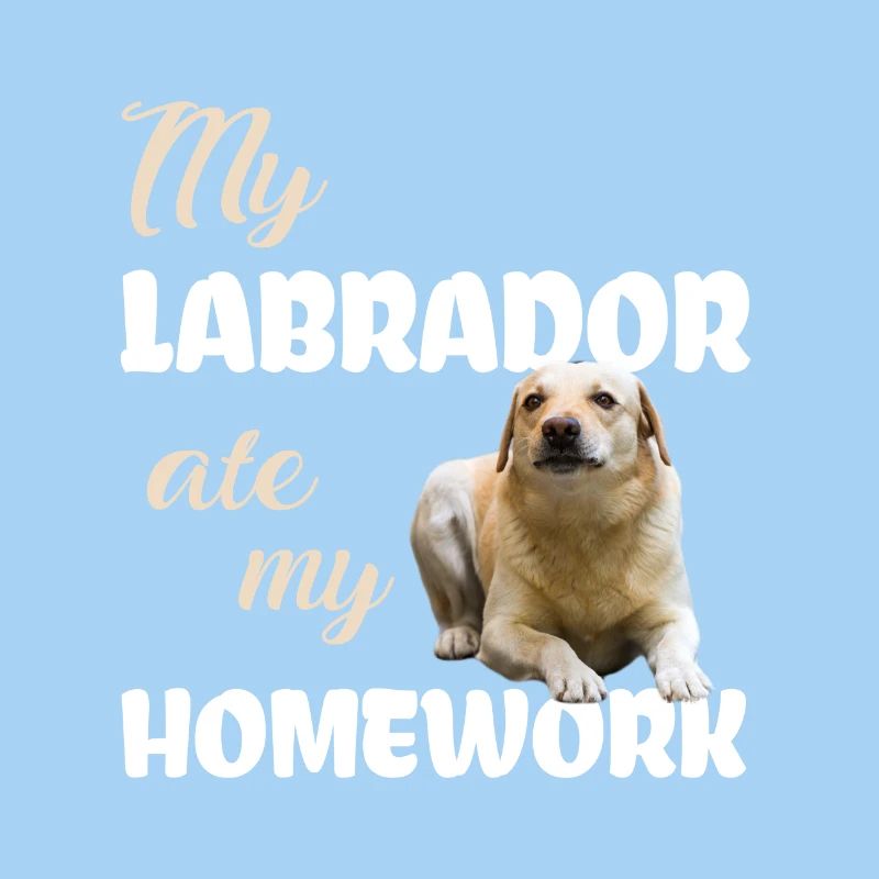 Labrador Homework