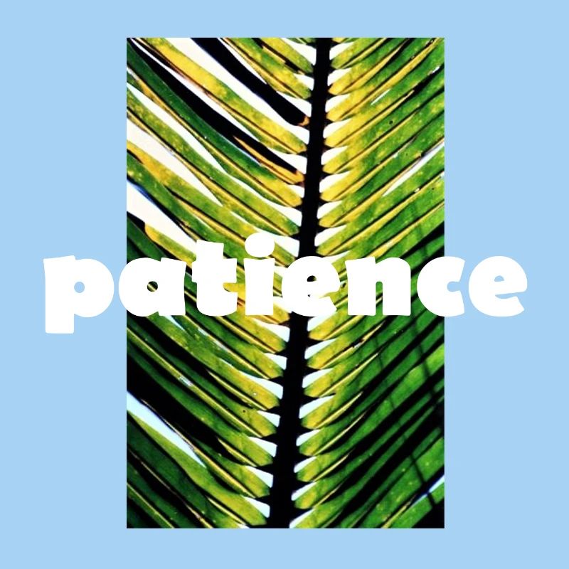PATIENCE