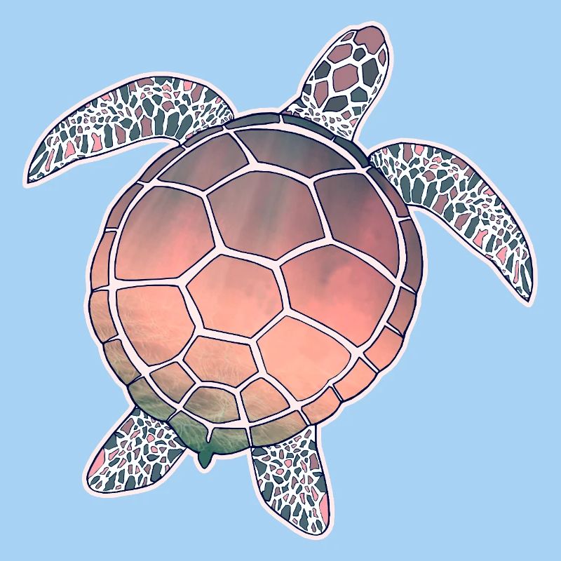 Sea Turtle