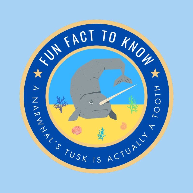 A Narwhal's tusk is actually a tooth