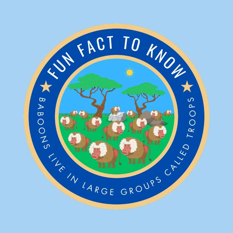 Baboons live in large groups called troops