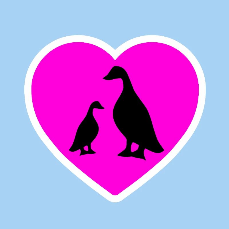 Canards