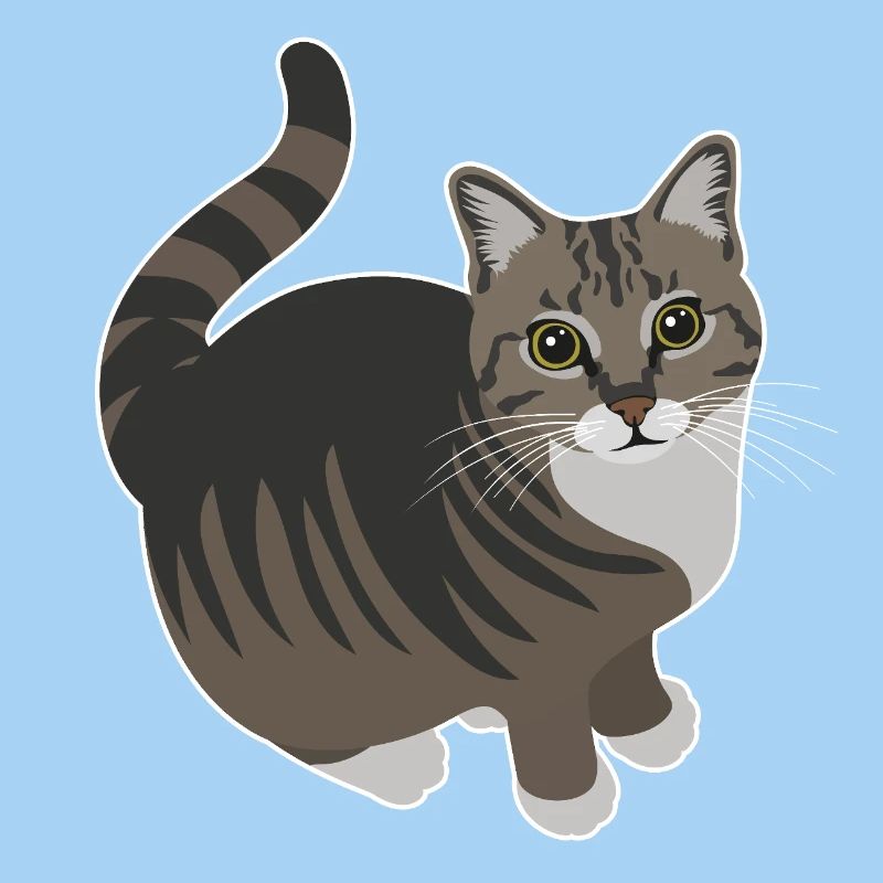 tabby cat with white paws