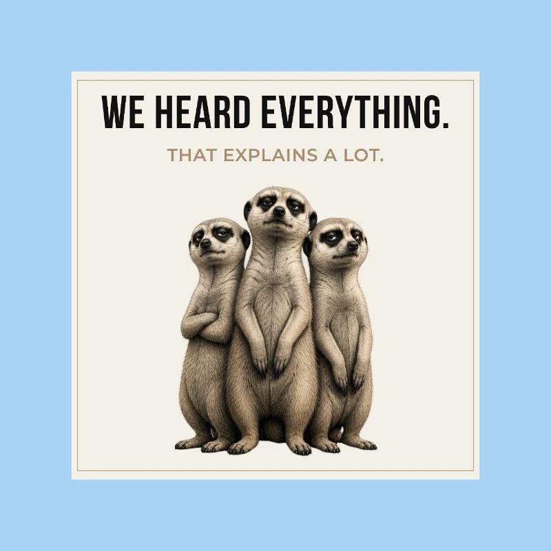 We Heard Everything Meerkat Trio