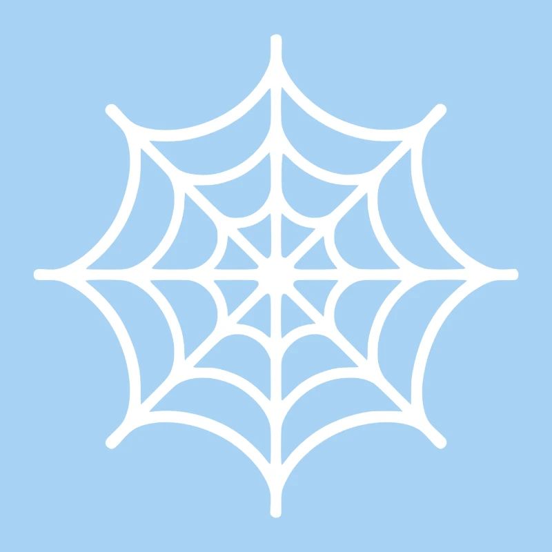 Spinnennetz Spinne