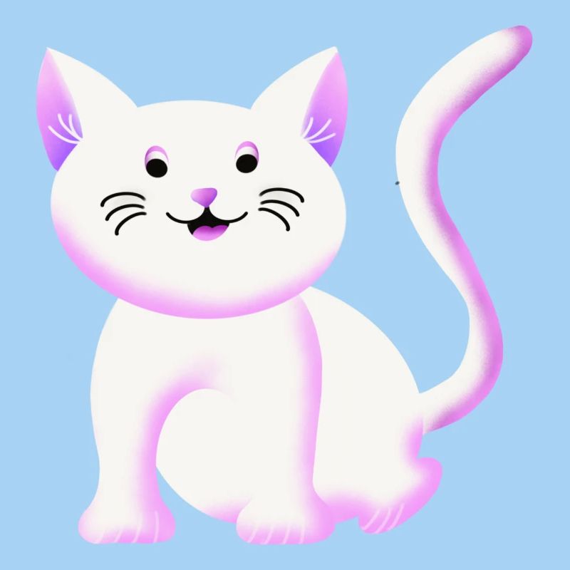 Chaton mignon | Chat | Cadeau