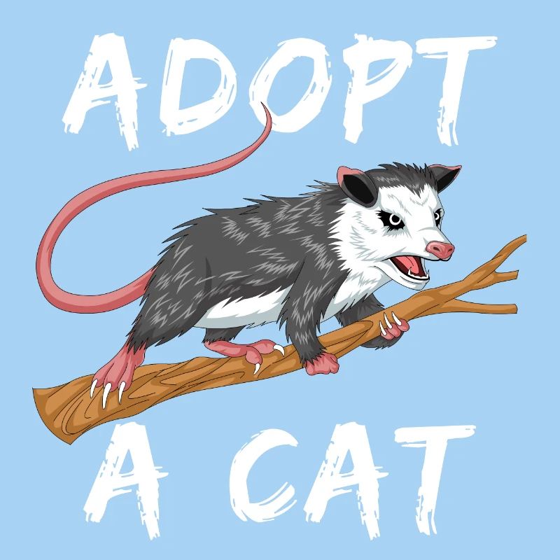 adopt a cat
