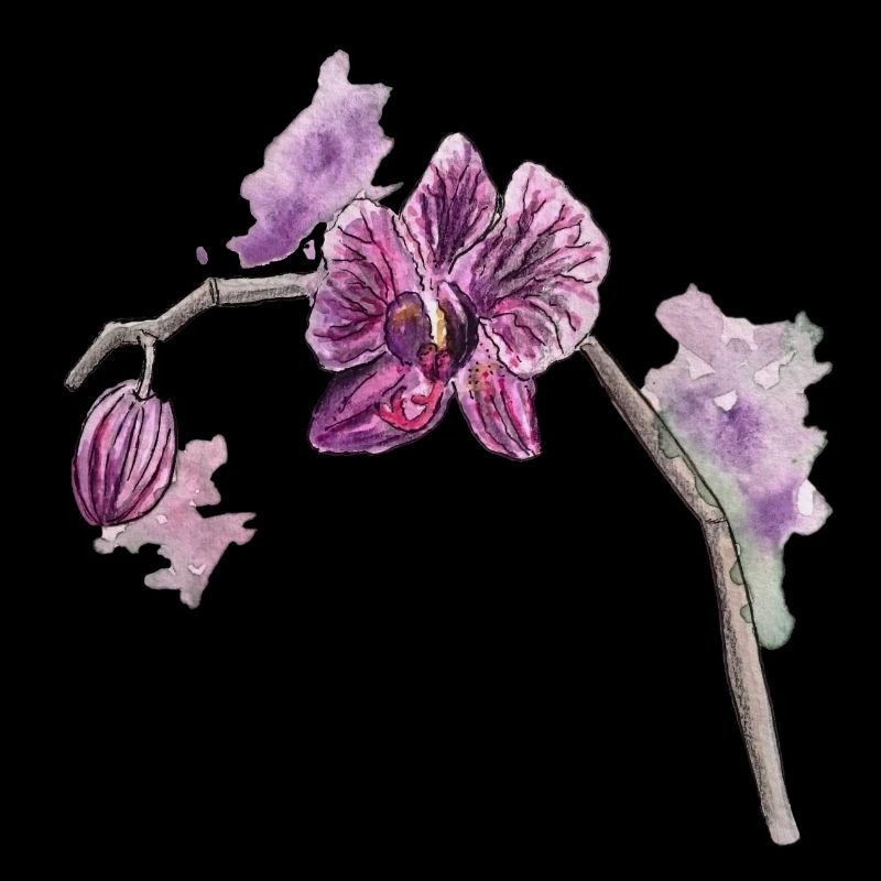 Orchidee - Pflanze - Blume