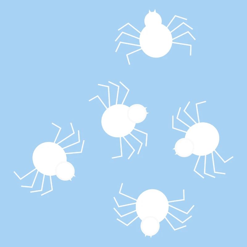 Spider white