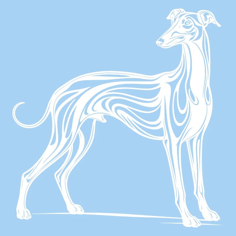 Windhund Greyhound