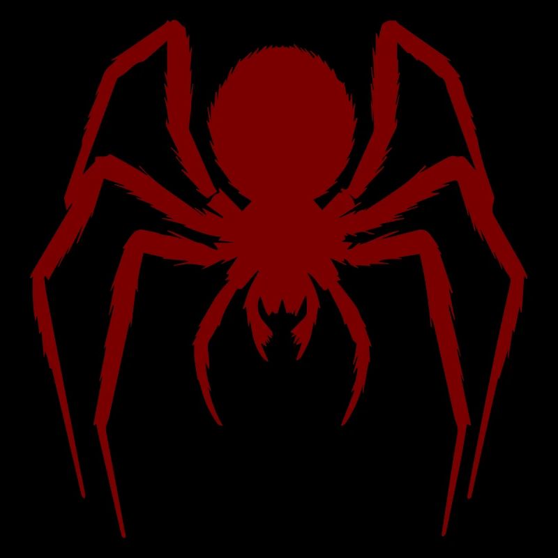 Haarige Spinne