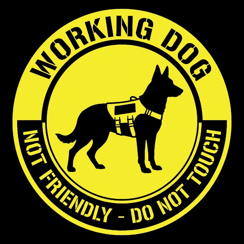 Not Friendly Dog Working Funny Meme