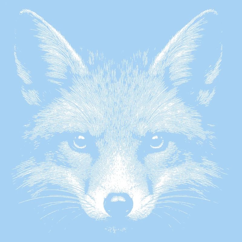 Rotfuchs