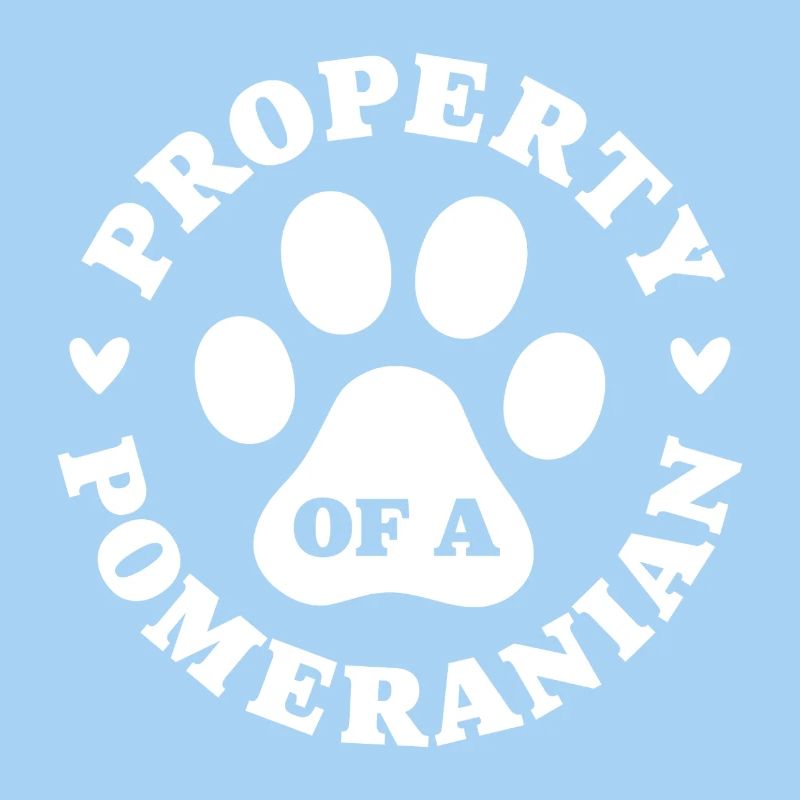 Eigentum eines Zwergspitzs