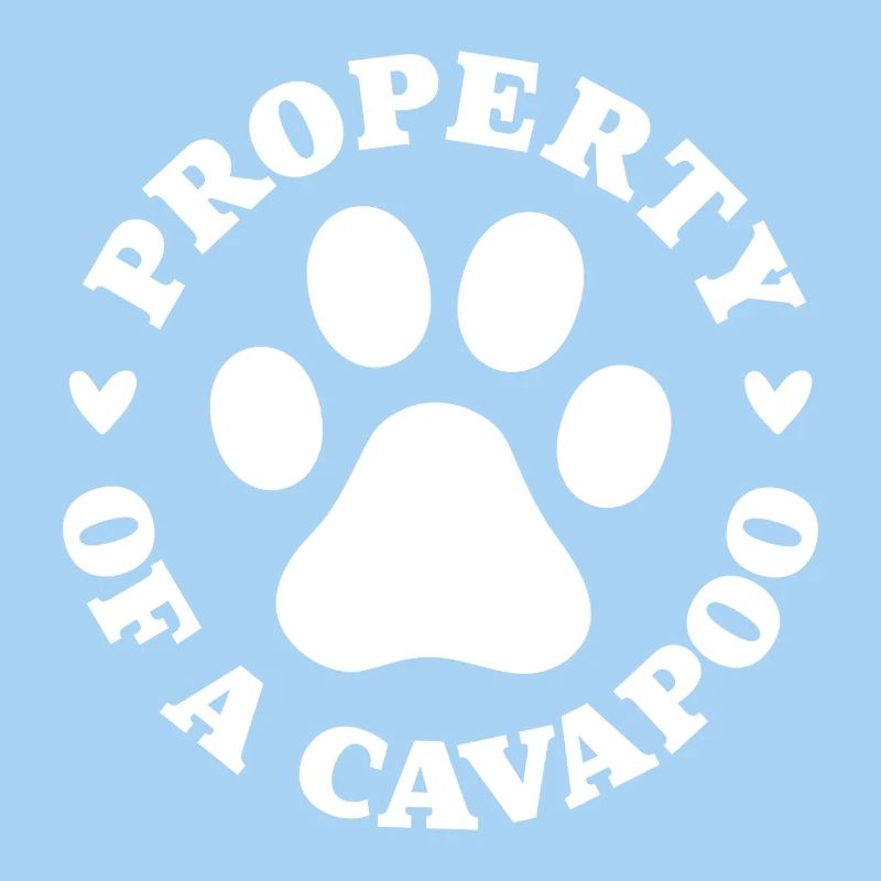 Propriété d’un Cavapoo