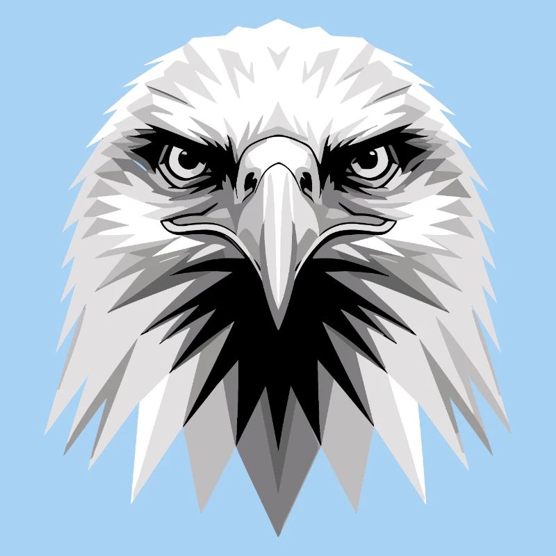 Aigle Pygargue à tête blanche Aigle royal Pygargue à queue blanche