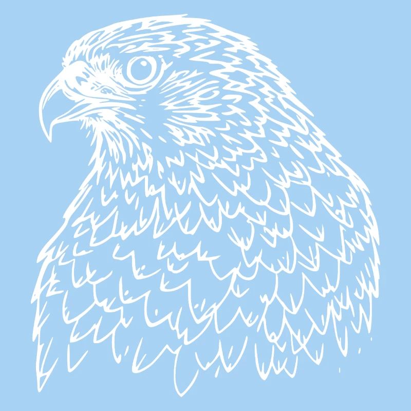 Falcon Head