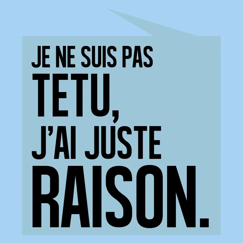 JE NE SUIS PAS TETU J'AI JUSTE RAISON