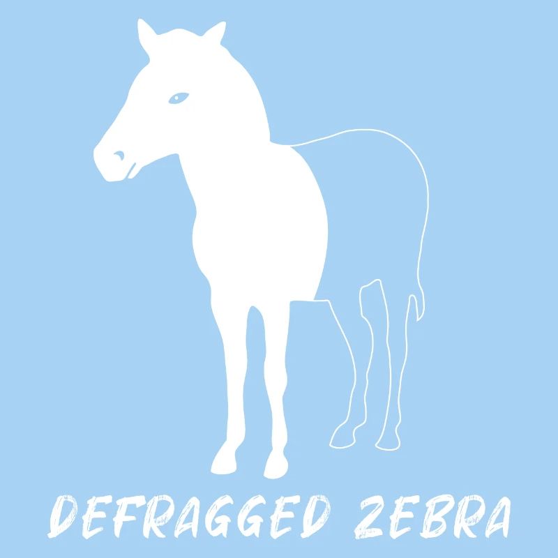 Defragged Zebra Admin Geek Programmer Gift