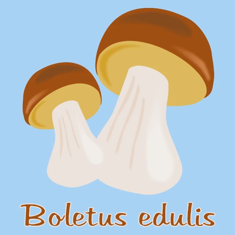 Champignons d’automne