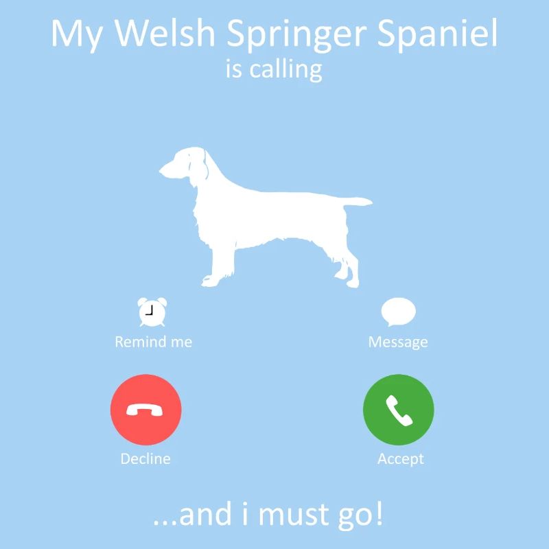 Welsh Springer Spaniel Is Calling Funny Dog