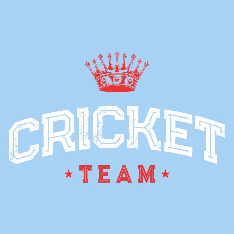 Équipe de cricket