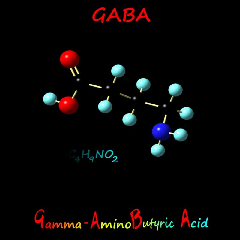 GABA - Rosie Aldrich