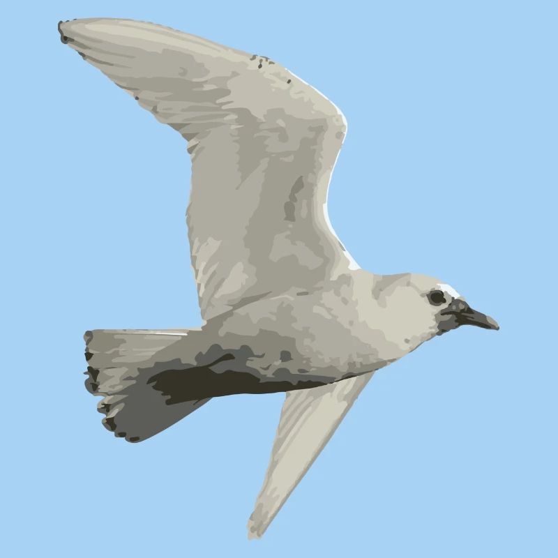 Oiseau