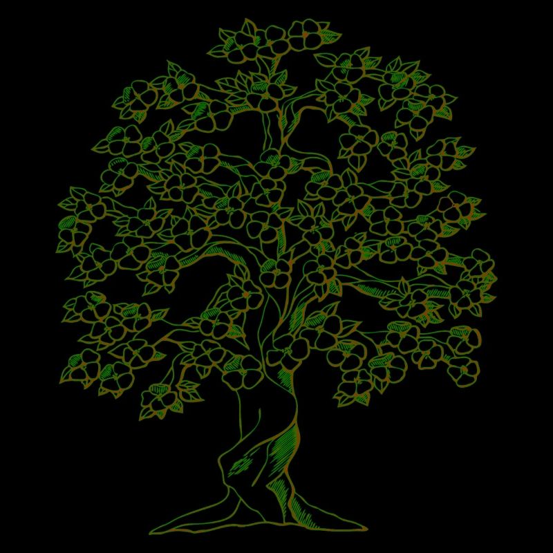 Baum Zeichnung