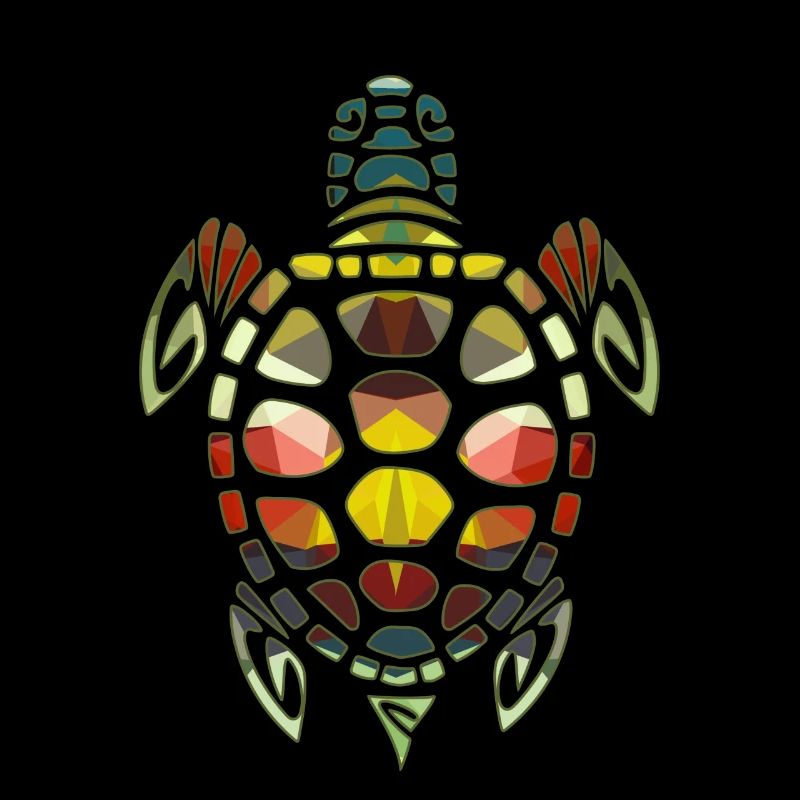 Turtle Geometric