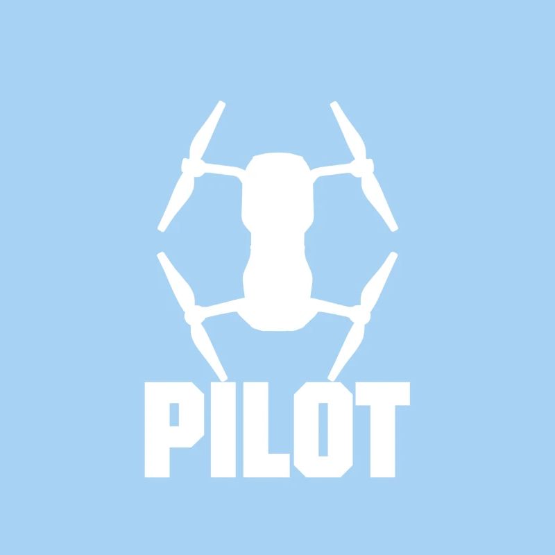 Drone pilot