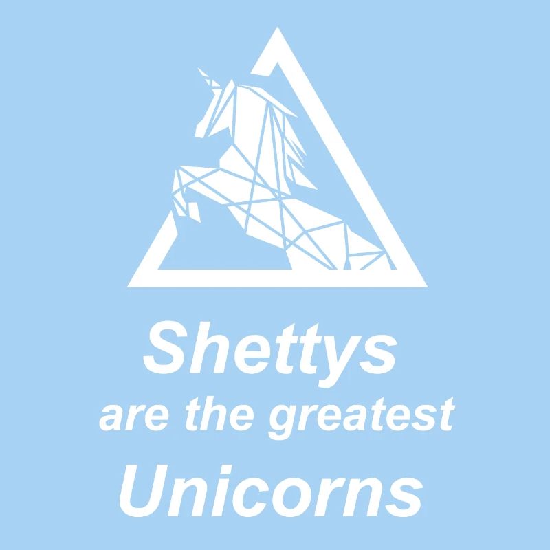 Shetty Shetland Pony Licorne